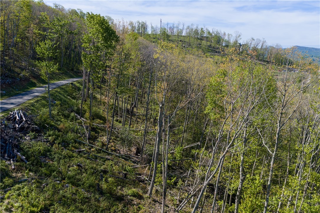 Lot 17c Talon Trail Property Photo 3