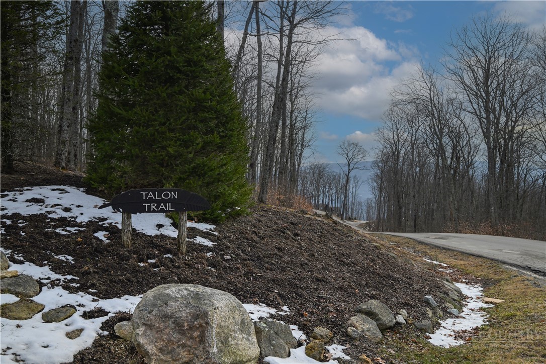 Lot 17c Talon Trail Property Photo 24