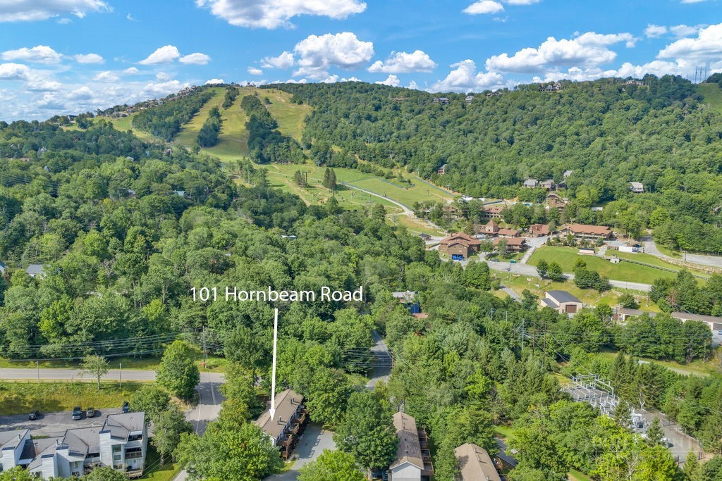 101 Hornbeam Road 1d Property Photo 8