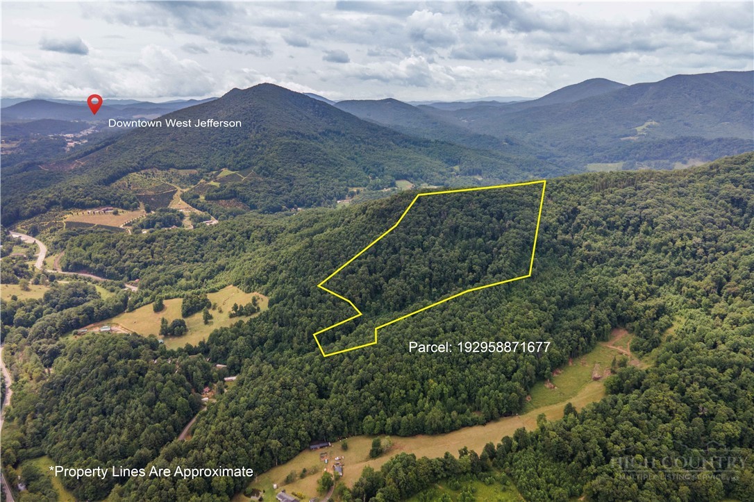 Tbd Off Tom Pless Road Property Photo 1