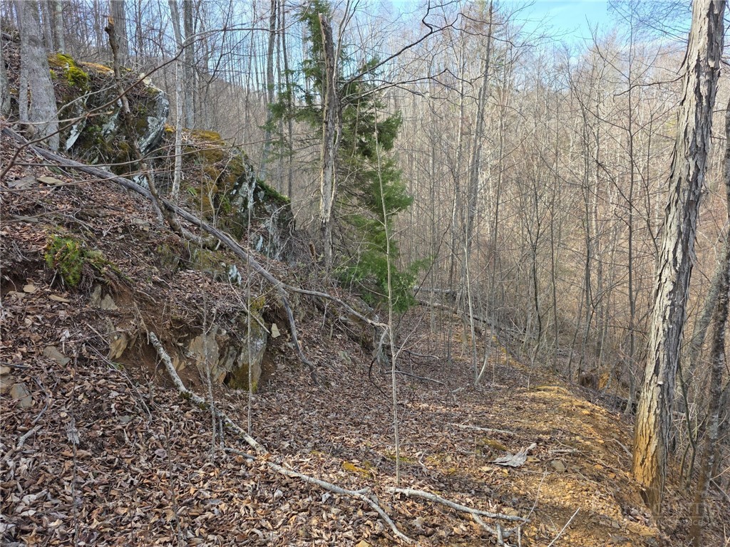 Tbd Off Tom Pless Road Property Photo 2