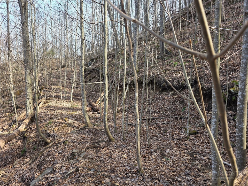 Tbd Off Tom Pless Road Property Photo 8