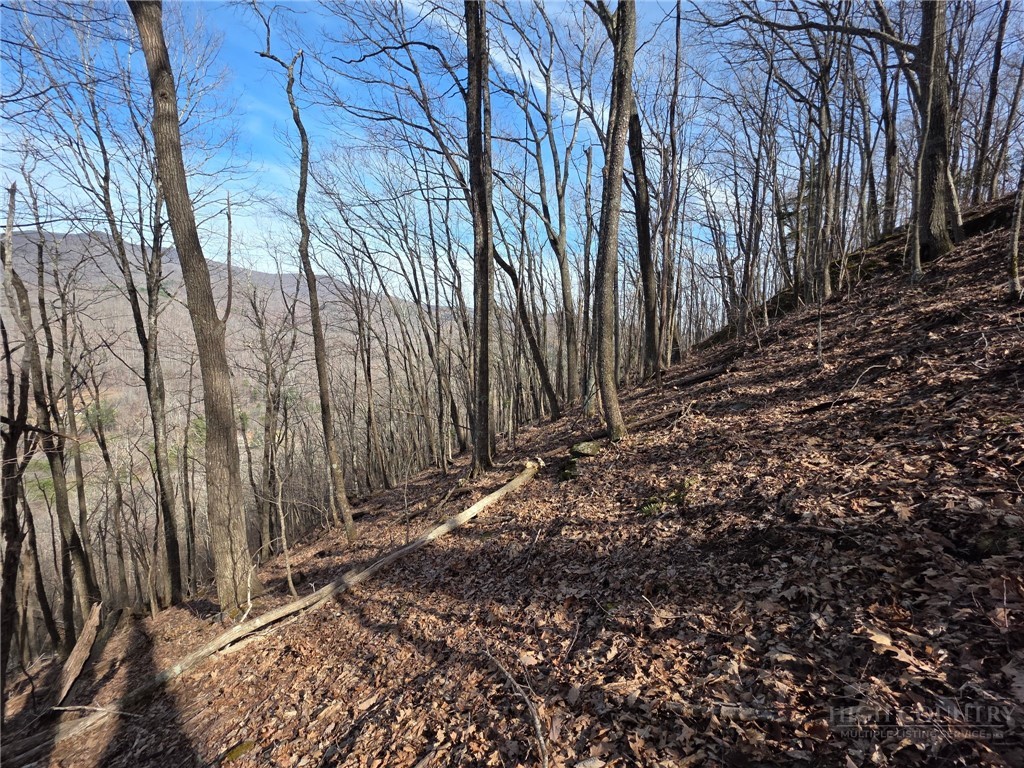 Tbd Off Tom Pless Road Property Photo 9