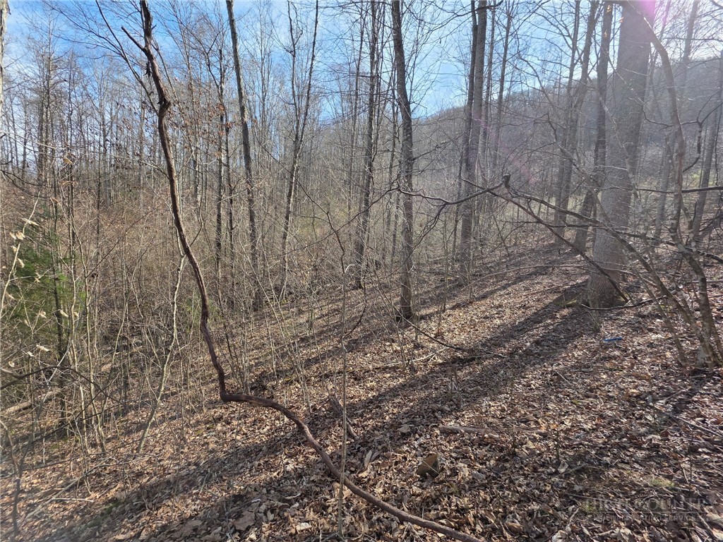 Tbd Off Tom Pless Road Property Photo 12