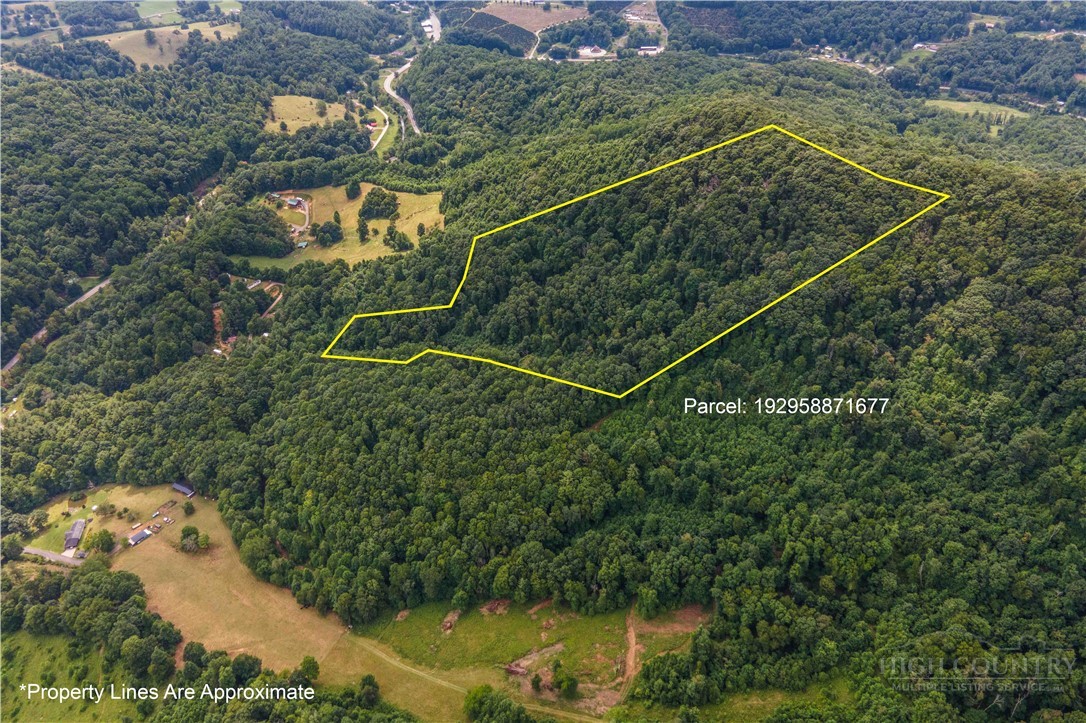 Tbd Off Tom Pless Road Property Photo 13