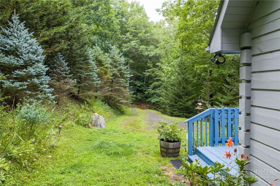 263 Jeb Hull Ridge Road Property Photo 36