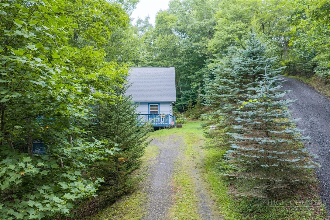263 Jeb Hull Ridge Road Property Photo 38