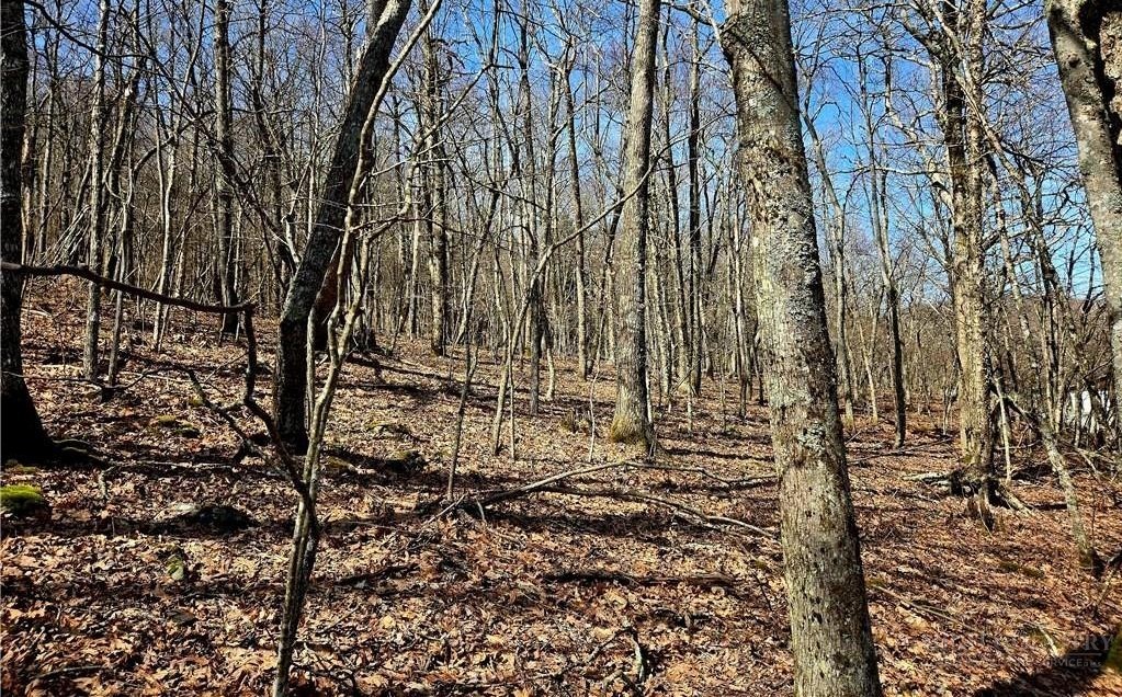 Tbd Junaluska Road Property Photo 2