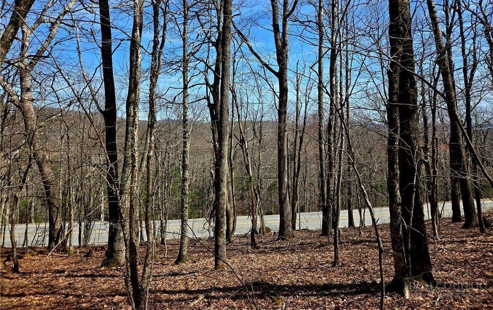 Tbd Junaluska Road Property Photo 4
