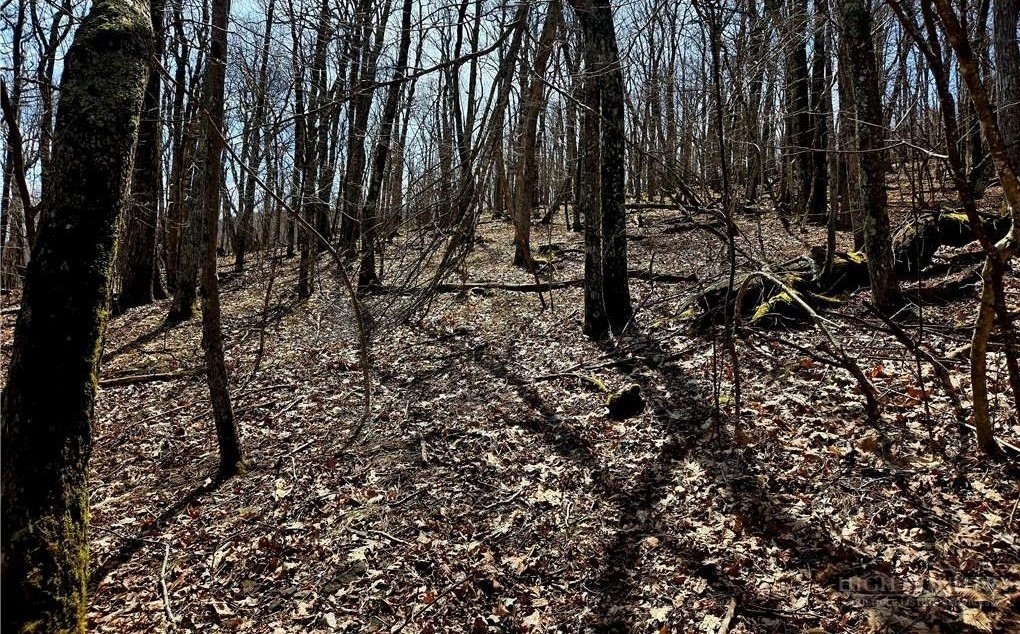 Tbd Junaluska Road Property Photo 5