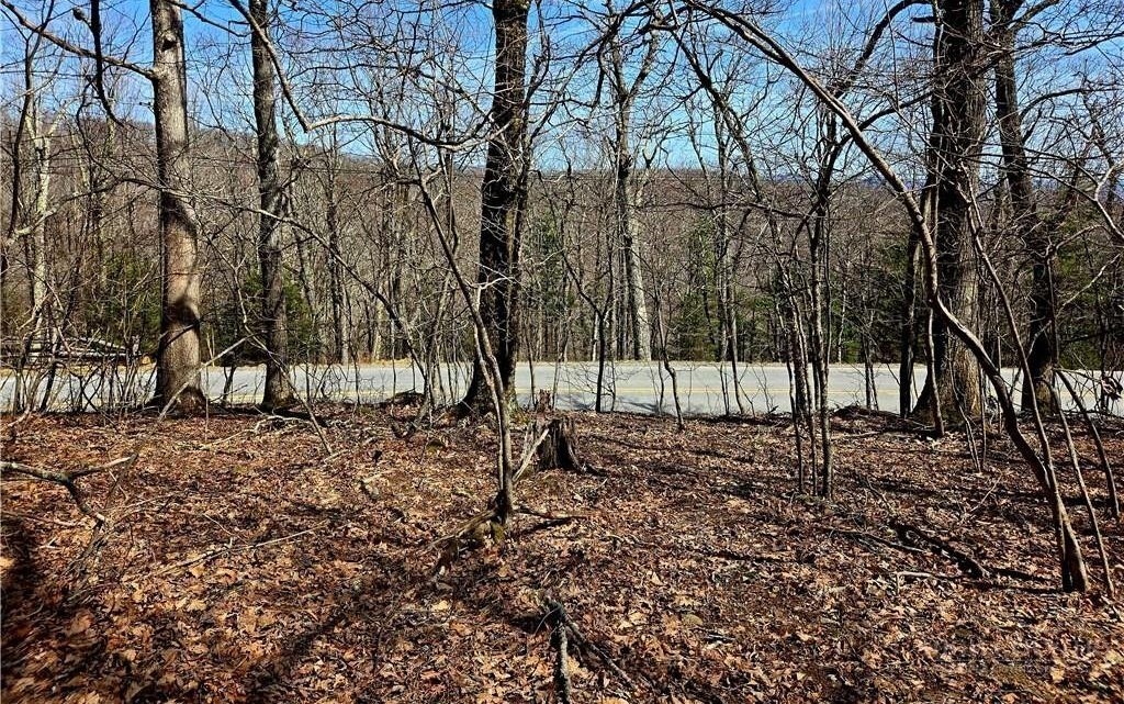 Tbd Junaluska Road Property Photo 6
