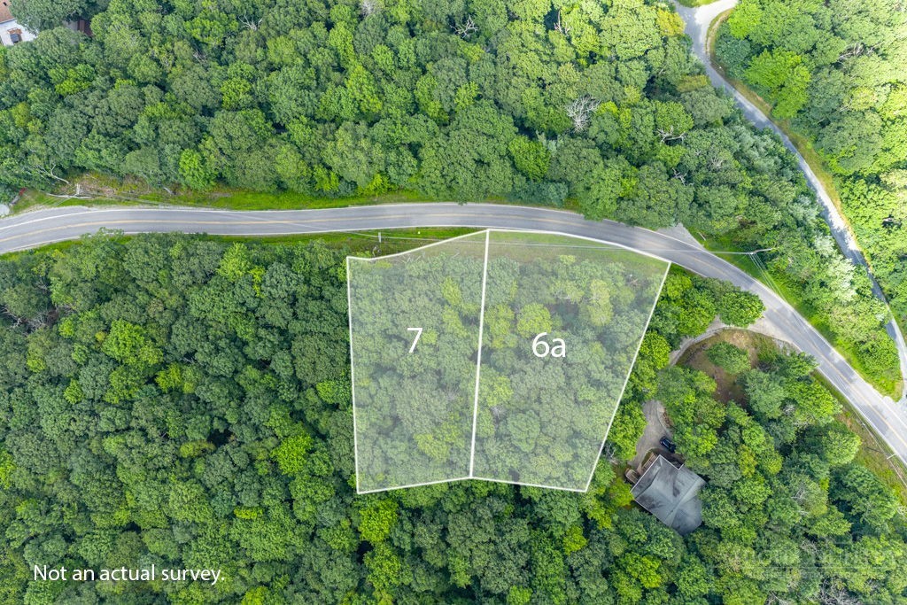 Tbd Junaluska Road Property Photo 7