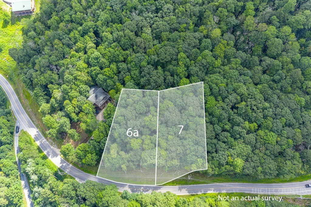 Tbd Junaluska Road Property Photo 8