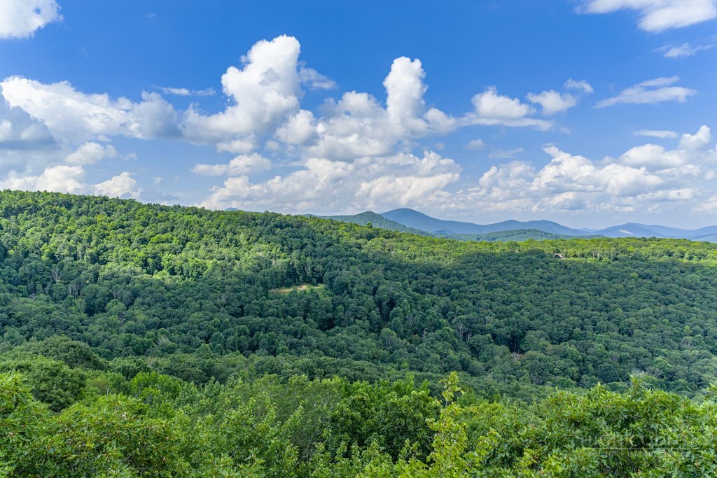 Tbd Junaluska Road Property Photo 9