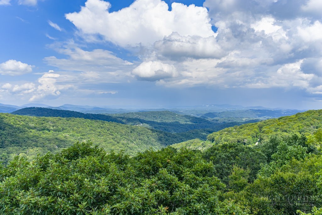 Tbd Junaluska Road Property Photo 10