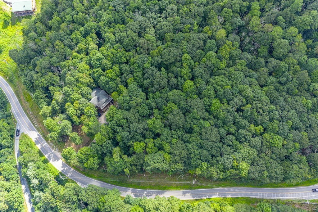 Tbd Junaluska Road Property Photo 11