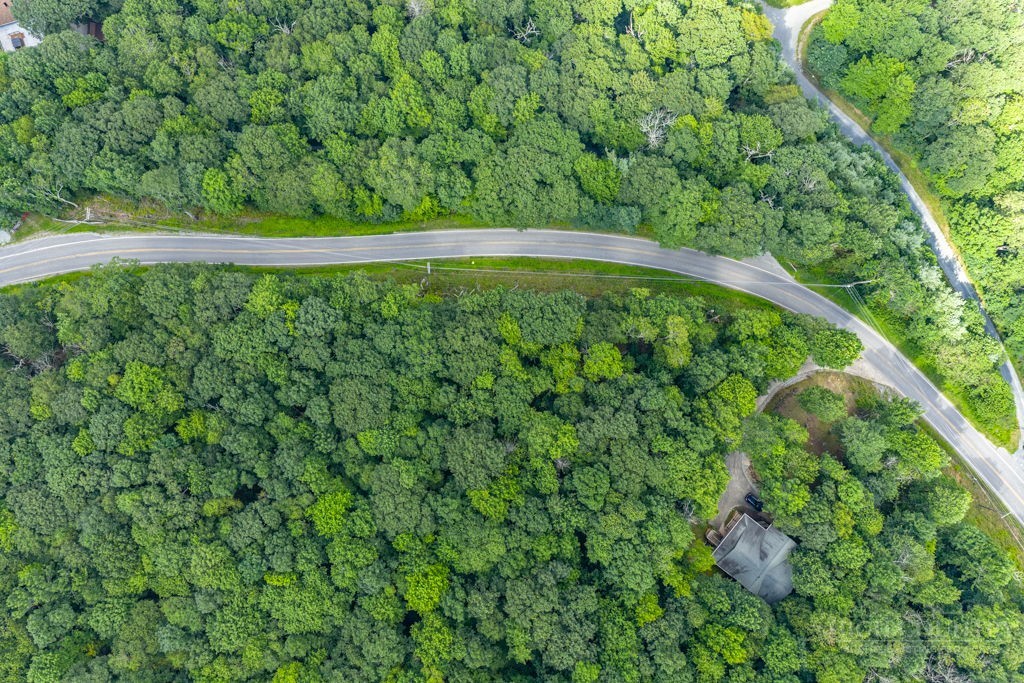 Tbd Junaluska Road Property Photo 12