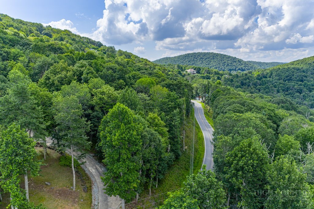 Tbd Junaluska Road Property Photo 13