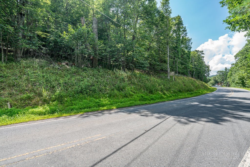 Tbd Junaluska Road Property Photo 15