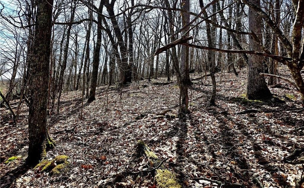 Tbd Junaluska Road Property Photo 16