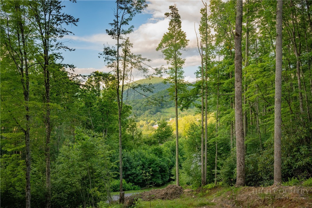 Lot 3 Elk Creek Drive Property Photo 2