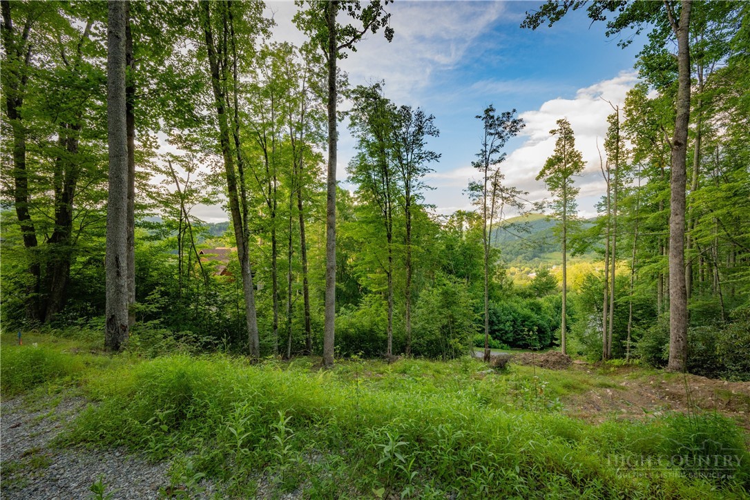 Lot 3 Elk Creek Drive Property Photo 3