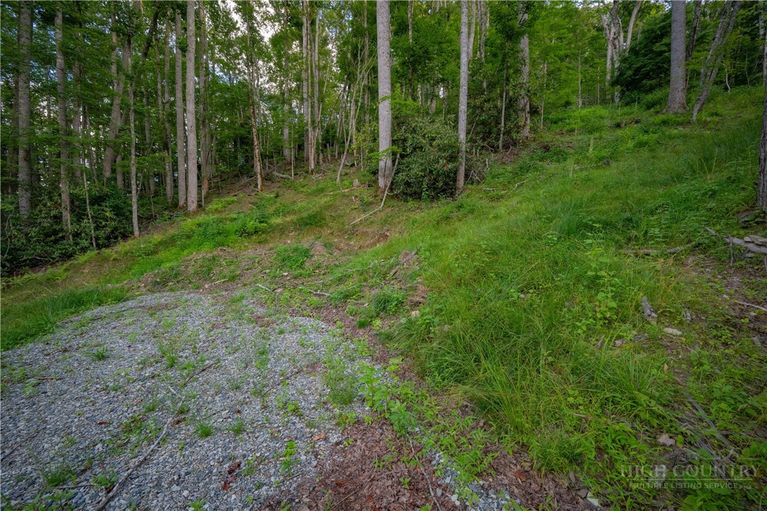 Lot 3 Elk Creek Drive Property Photo 4