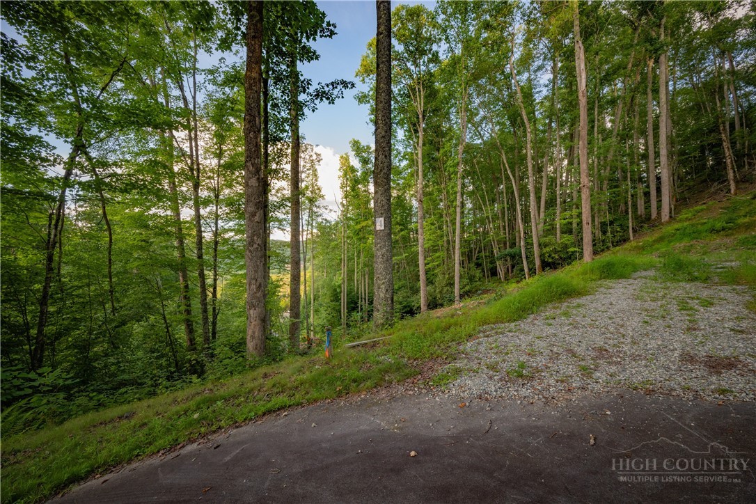 Lot 3 Elk Creek Drive Property Photo 9