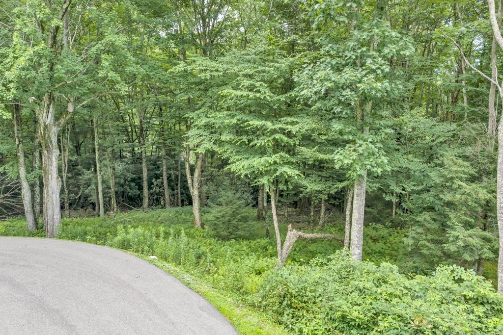 Tbd Featherwood Trail Property Photo 9