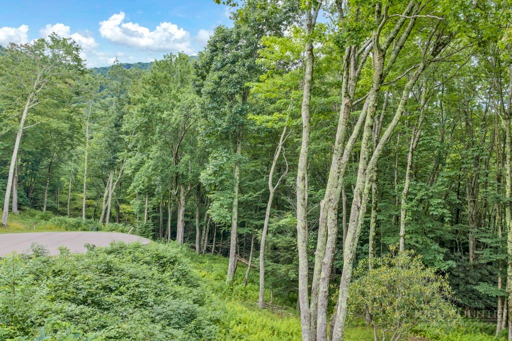 Tbd Featherwood Trail Property Photo 10