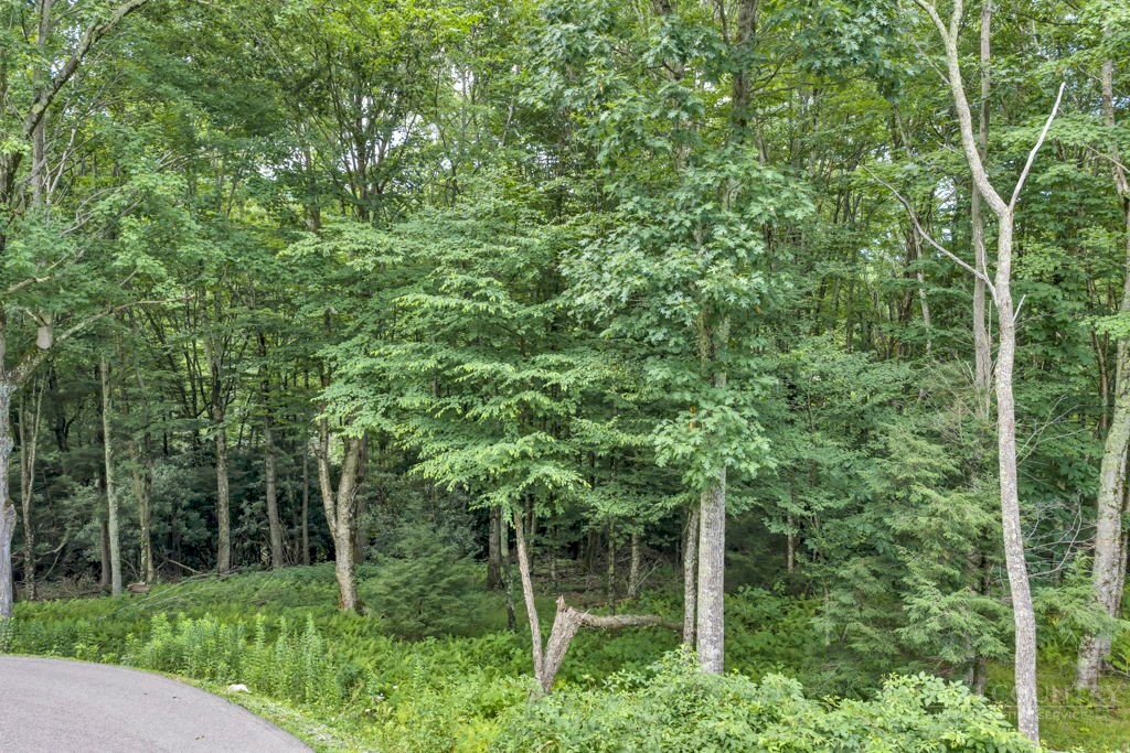 Tbd Featherwood Trail Property Photo 11