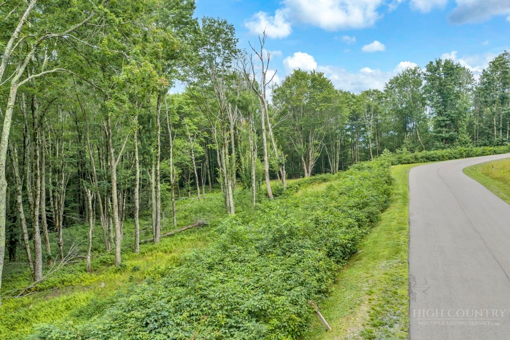 Tbd Featherwood Trail Property Photo 14