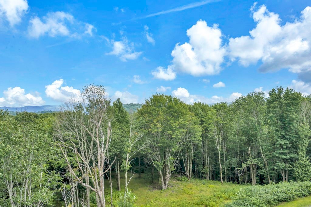 Tbd Featherwood Trail Property Photo 17