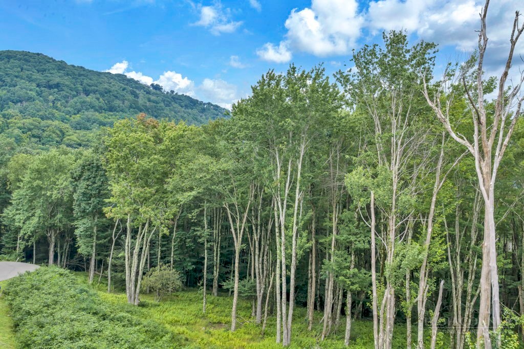 Tbd Featherwood Trail Property Photo 18