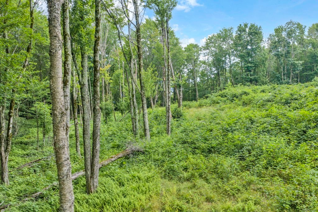 Tbd Featherwood Trail Property Photo 19
