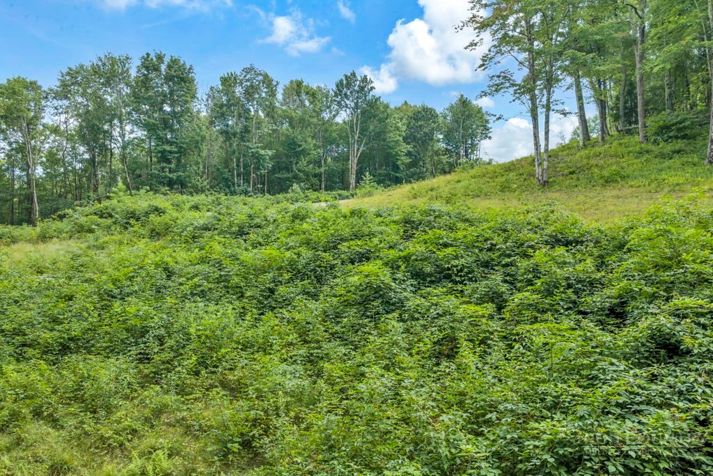 Tbd Featherwood Trail Property Photo 20