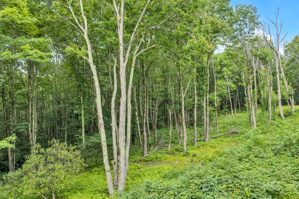 Tbd Featherwood Trail Property Photo 21