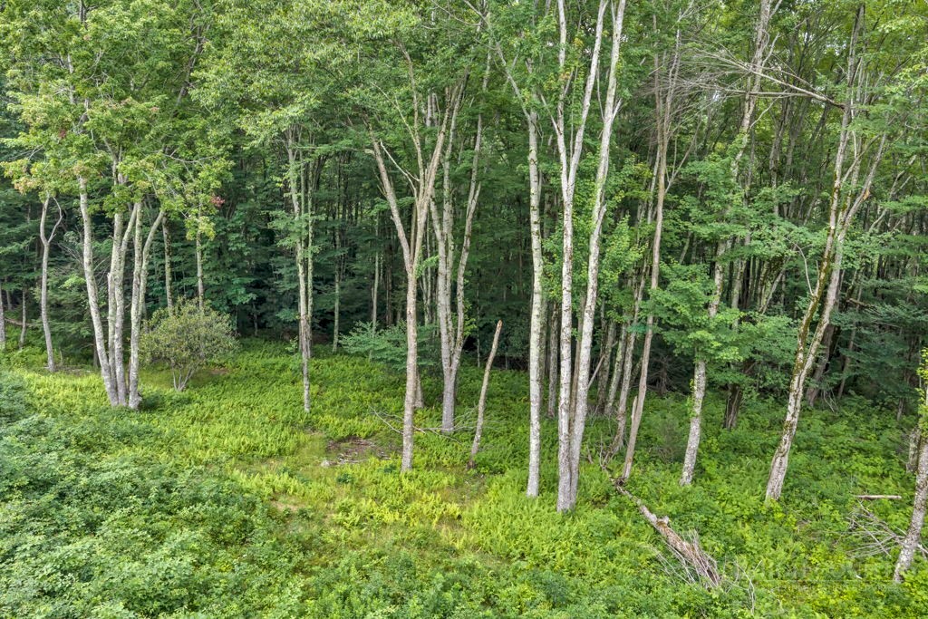 Tbd Featherwood Trail Property Photo 22