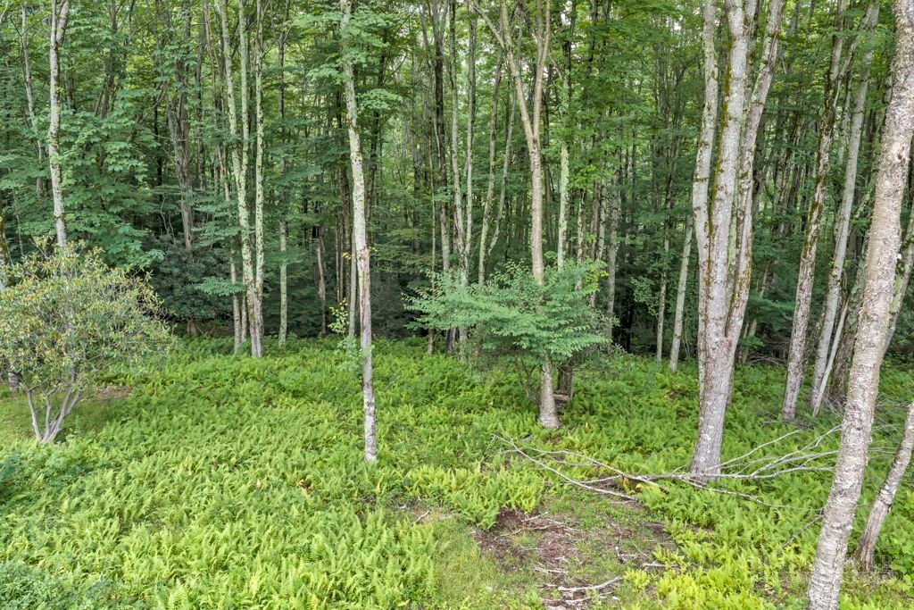 Tbd Featherwood Trail Property Photo 23