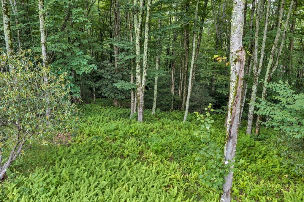 Tbd Featherwood Trail Property Photo 24