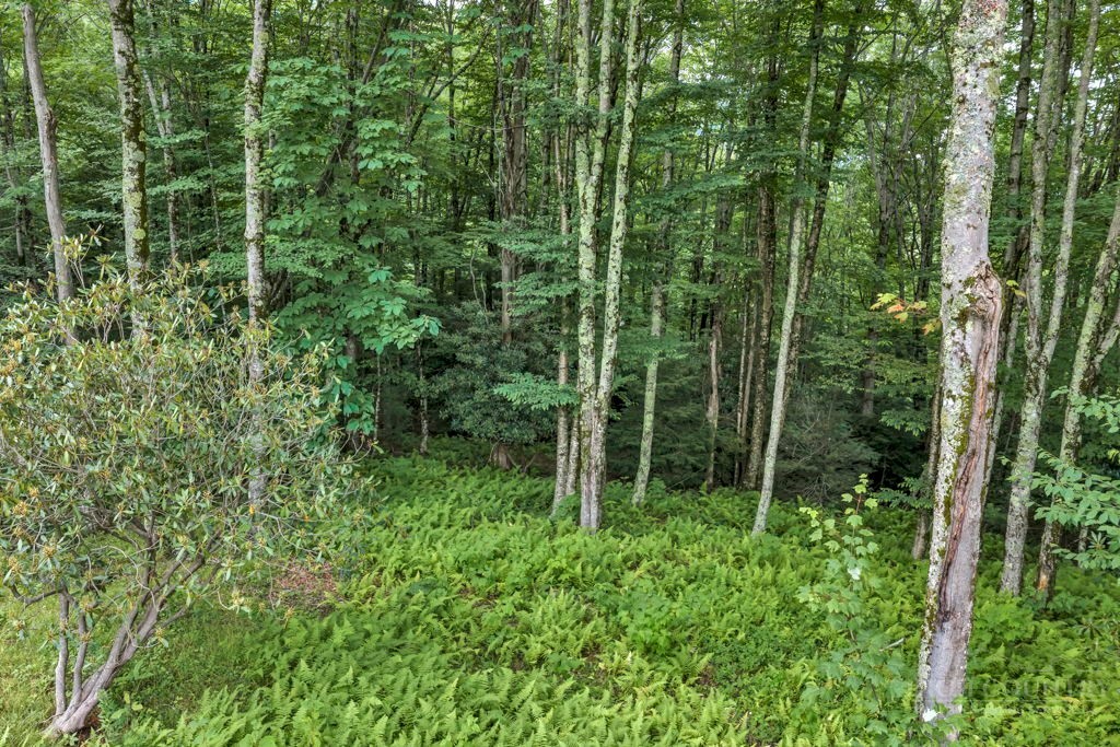 Tbd Featherwood Trail Property Photo 25