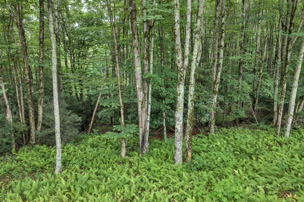Tbd Featherwood Trail Property Photo 26