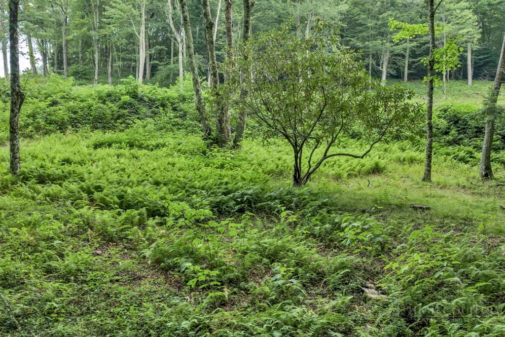 Tbd Featherwood Trail Property Photo 29