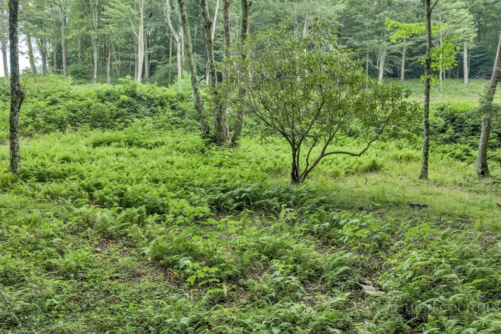 Tbd Featherwood Trail Property Photo 30