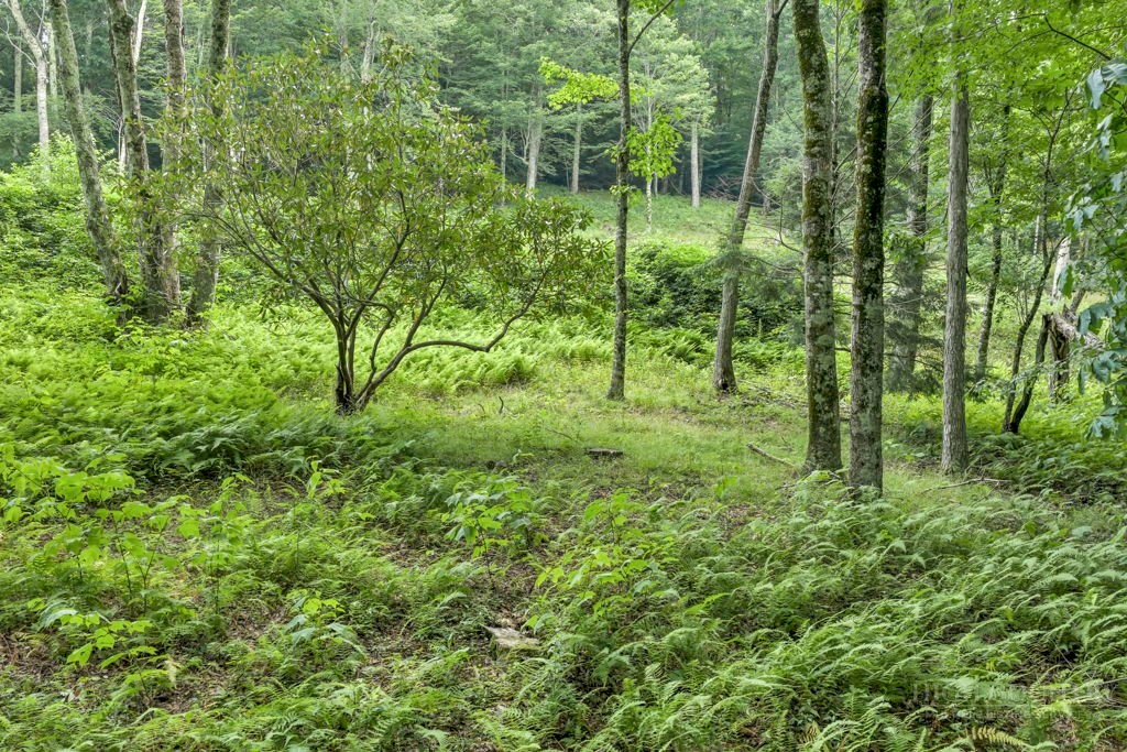 Tbd Featherwood Trail Property Photo 31