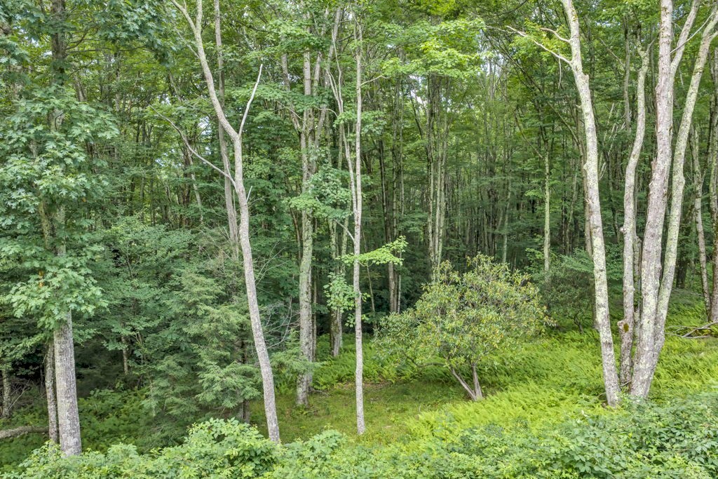 Tbd Featherwood Trail Property Photo 32