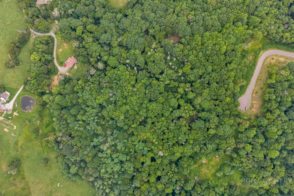 Tbd Featherwood Trail Property Photo 34