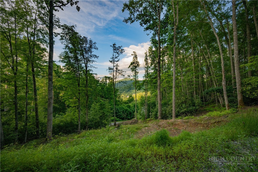 Lot 4 Elk Creek Drive