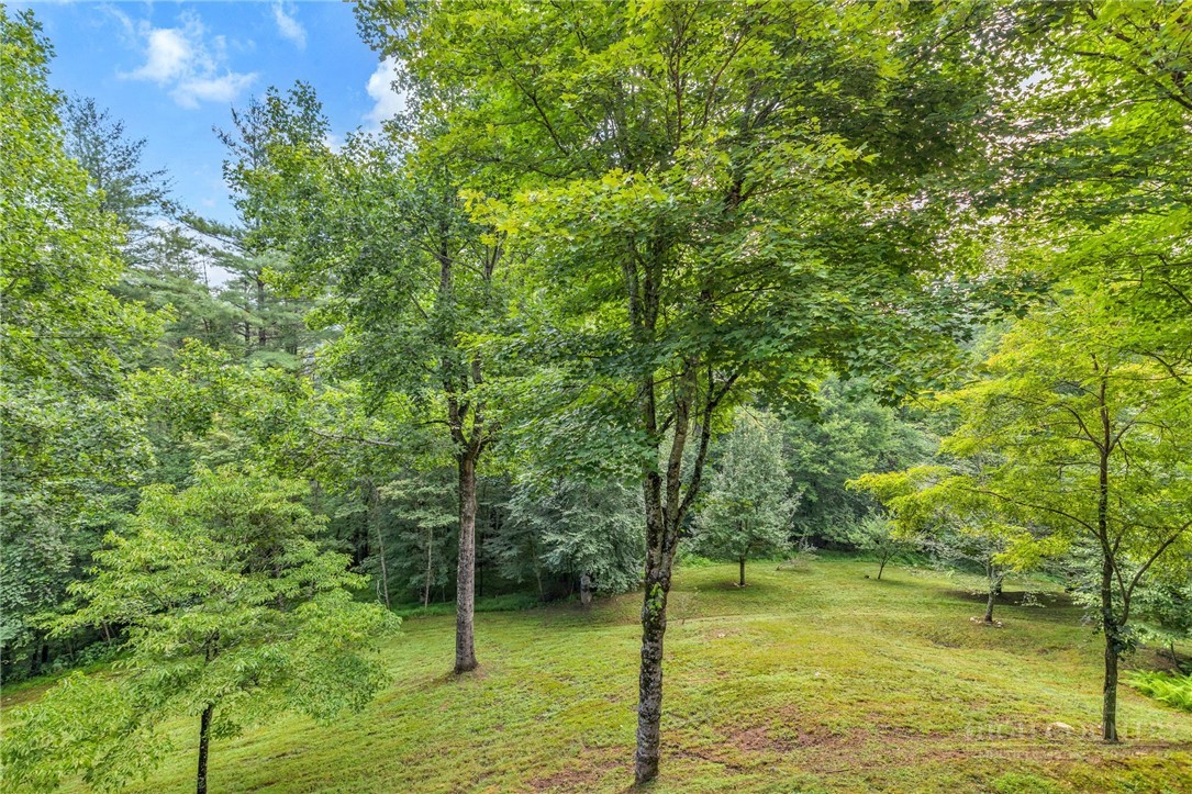 219 Ravenwood Drive Property Photo 40