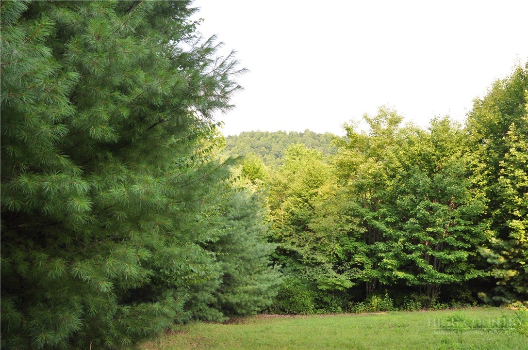 Tbd Highland Laurel Lane Property Photo 1